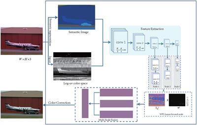 Color Constancy via Multi-Scale Region-Weighed Network Guided by Semantics